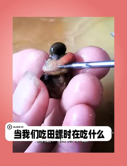 梦见螺蛳预示哪些?揭秘梦境象征及心灵启示! 梦见螺蛳预示哪些?揭秘梦境象征及心灵启示!