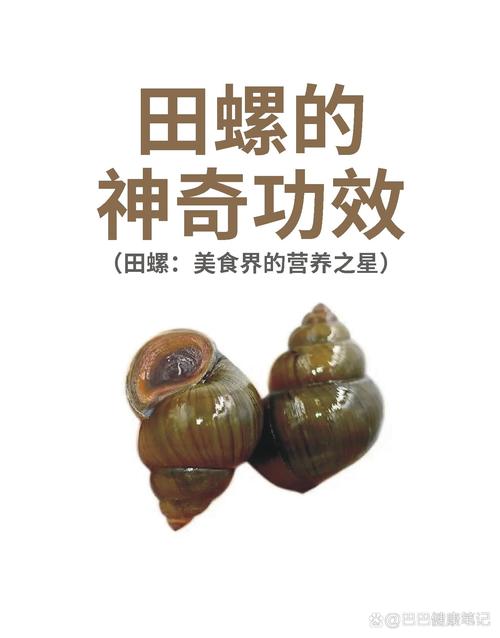 梦见螺蛳预示哪些?揭秘梦境象征及心灵启示! 梦见螺蛳预示哪些?揭秘梦境象征及心灵启示!