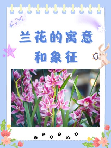 梦见兰花象征哪些深意？解密其背后的心理暗示