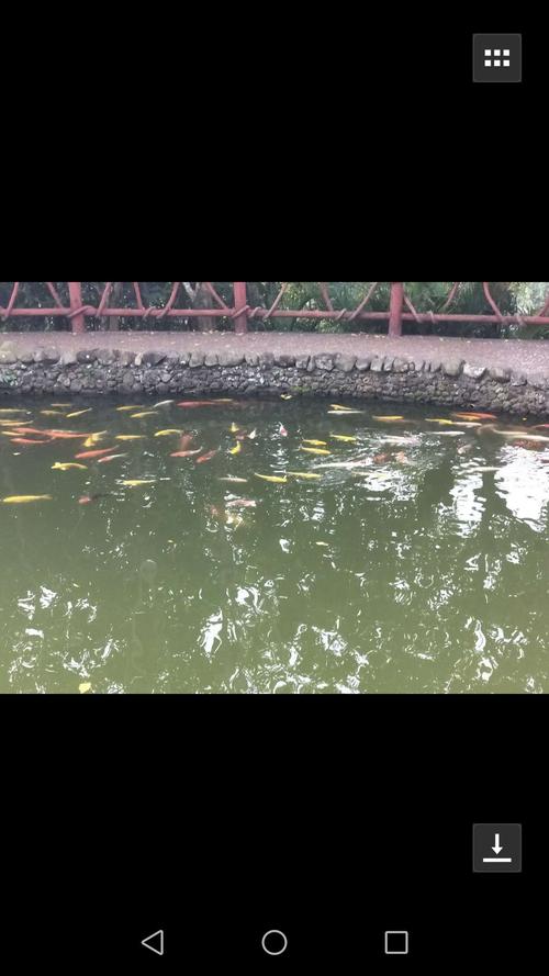 梦见禾苗寓意探秘,解读蕴含财富与成长的象征! 梦见禾苗寓意探秘,解读蕴含财富与成长的象征!