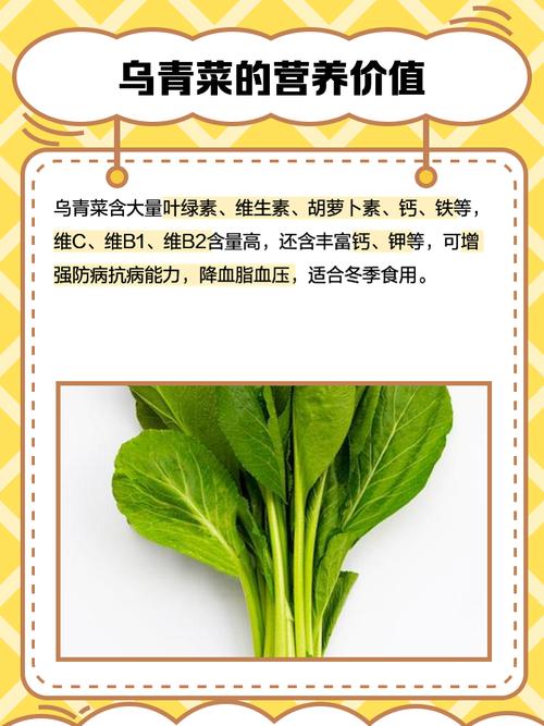 梦见青菜的心理暗示与生活影响,网友解梦让生活更美好! 梦见青菜的心理暗示与生活影响,网友解梦让生活更美好!