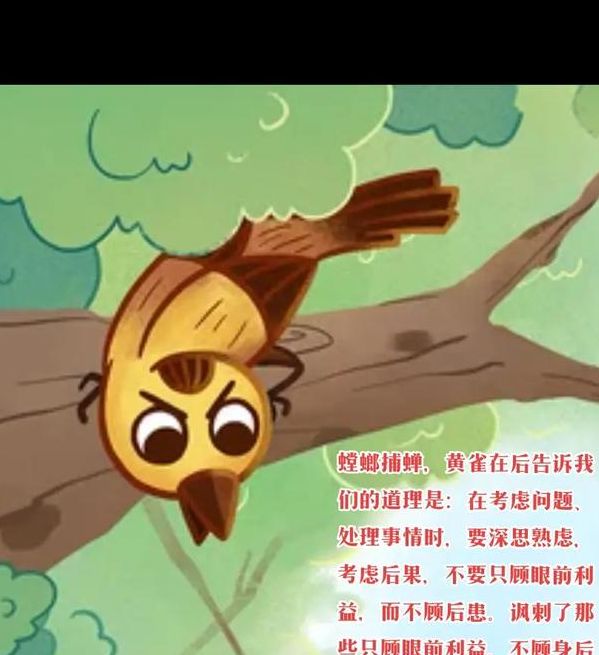 梦见黄雀有哪些深意？解读梦境暗藏的心理信号