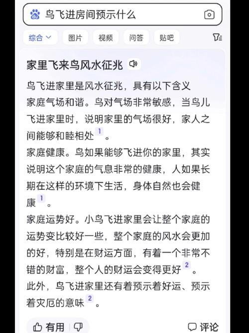 梦见黄雀有哪些深意？解读梦境暗藏的心理信号