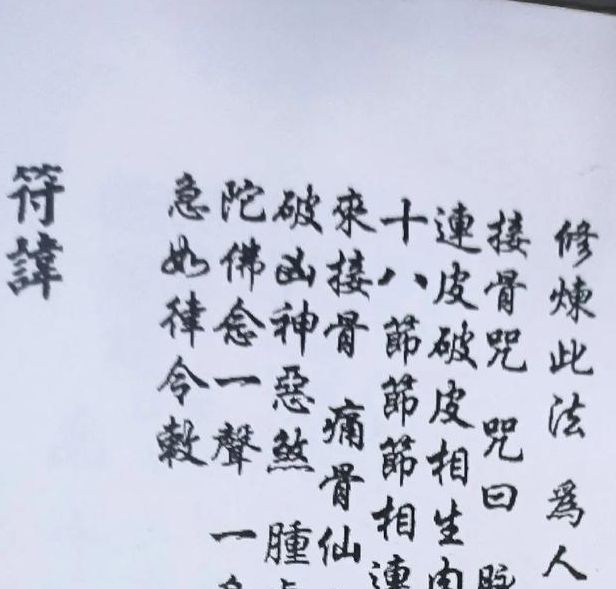 梦见接骨木的象征意义揭示内心深处的高效解决方案