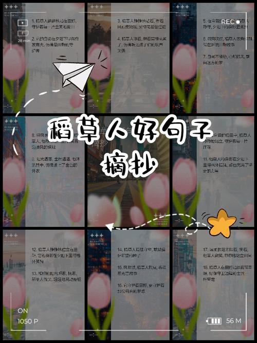 梦见稻草预示哪些？探秘梦境与现实的微妙联系