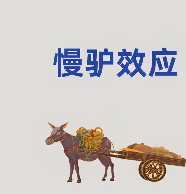 梦见驴骡马的深层心理解读与真实生活启示