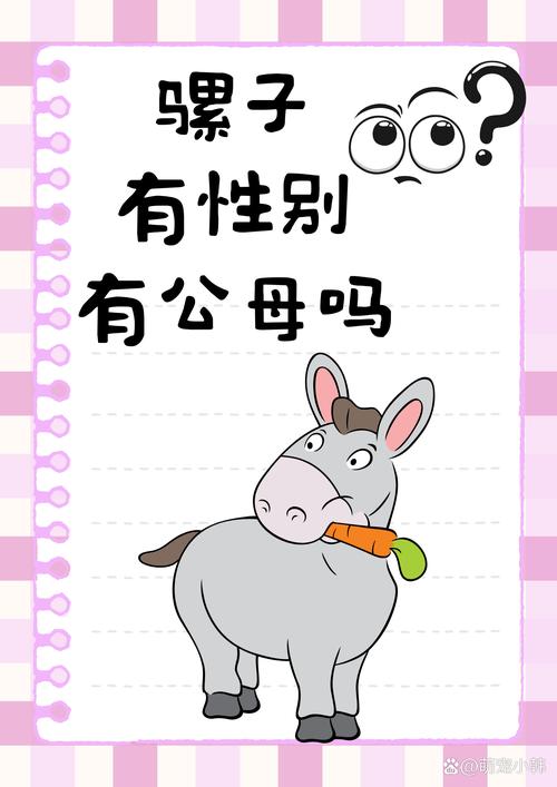 梦见驴骡马的深层心理解读与真实生活启示