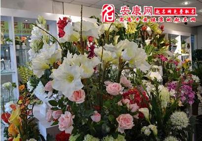 梦见塑料花寓意揭秘吉兆还是隐忧？深度分析您的梦境解读