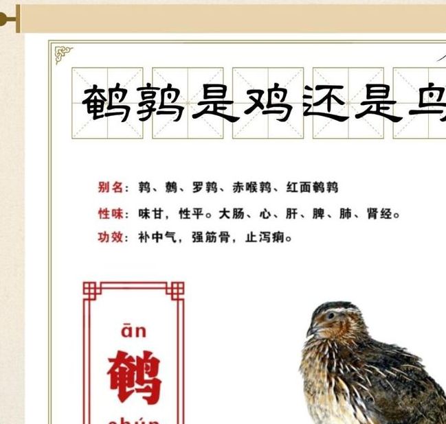 梦见鹌鹑寓意分析精神成长 vs 现实预示，解锁潜在意义