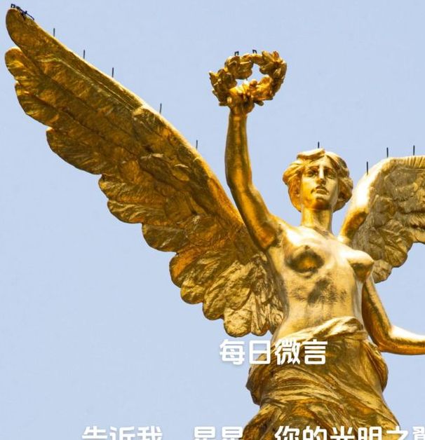 梦见翅膀寓意解析揭示4大心理象征及权威专家见解