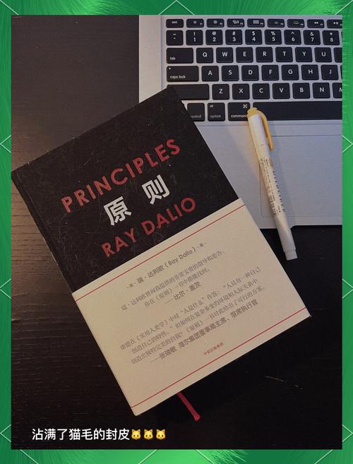 梦见煎蛋卷心理暗示与生活解读的双重对比