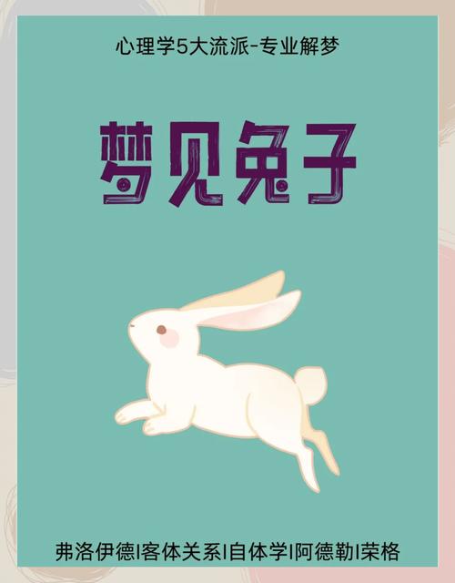 梦见兔子跑进屋的深层含义与心理解读解析