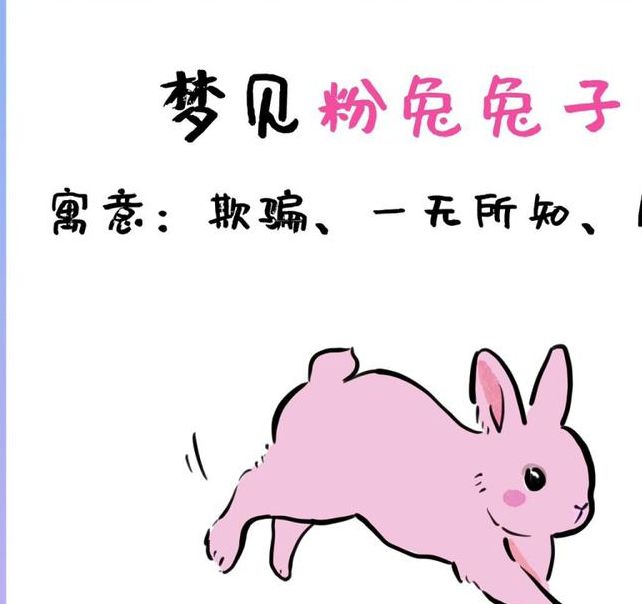 梦见兔子跑进屋的深层含义与心理解读解析