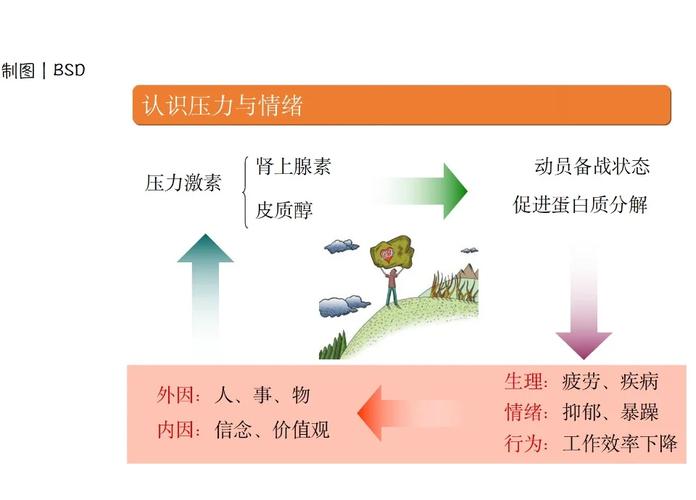 梦见文件的深层解析潜意识反映与生活压力管理技巧 梦见文件的深层解析潜意识反映与生活压力管理技巧