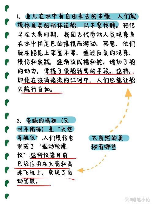 揭秘梦见赛船高效解析答案与解决方案 揭秘梦见赛船高效解析答案与解决方案