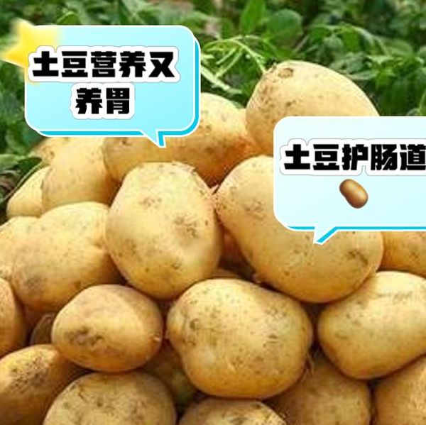 梦见土豆解析3个权威专家推荐的解梦技巧 梦见土豆解析3个权威专家推荐的解梦技巧