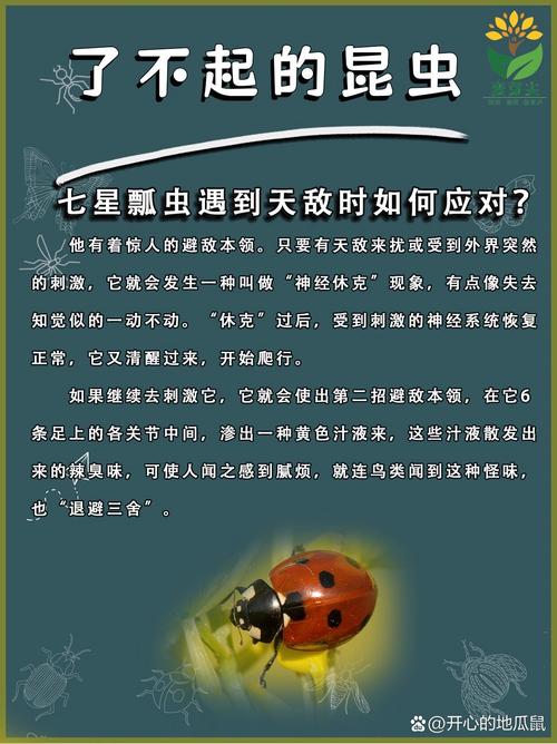 梦见七星瓢虫预示哪些？解读象征意义及心理暗示