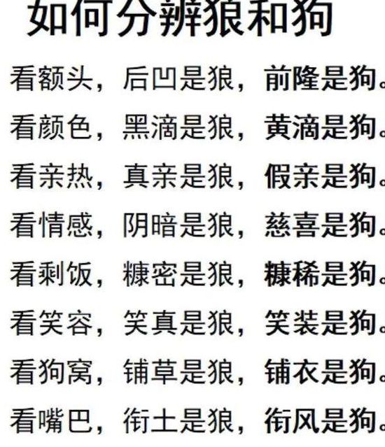 梦见狼狗的含义详解心理解析 vs 迷信说法，哪个更靠谱？