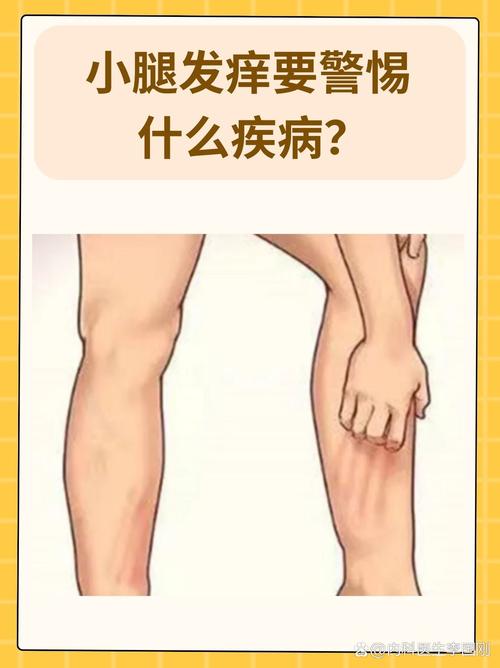 梦见小腿预示哪些？解读梦境象征，提升生活幸福感