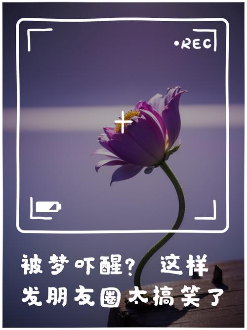 梦见挂毯意味着哪些?解锁潜意识中的神秘信号! 梦见挂毯意味着哪些?解锁潜意识中的神秘信号!