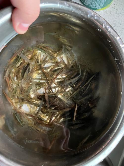 梦见抓虾象征哪些？详解心理暗示与生活启示