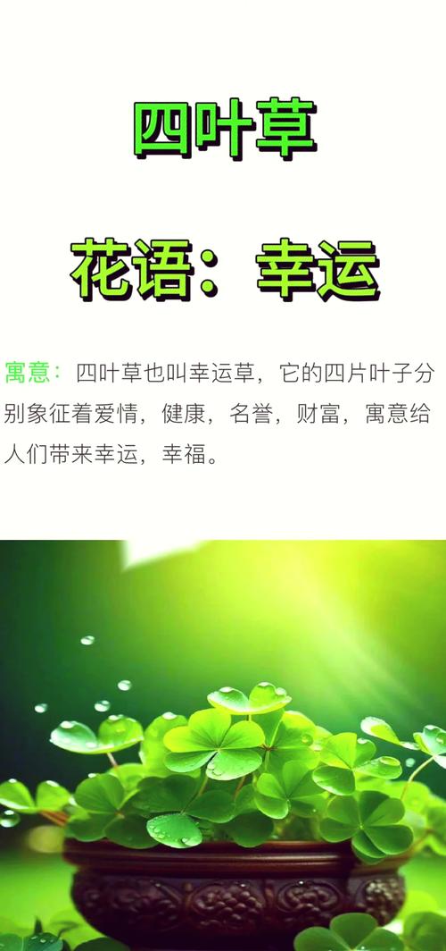 梦见外甥寓意解析象征何种家庭关系与运势？