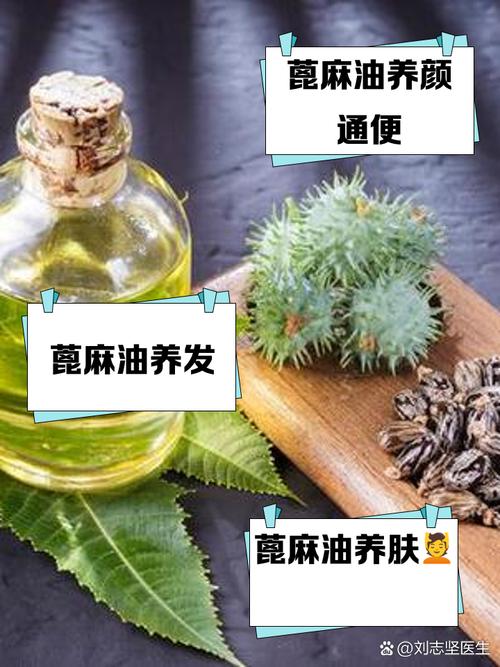 梦见蓖麻油预示哪些？详解心理暗示与现实生活对比