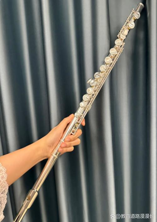 梦见长笛象征着哪些?探索你的内心世界与潜在启示 梦见长笛象征着哪些?探索你的内心世界与潜在启示