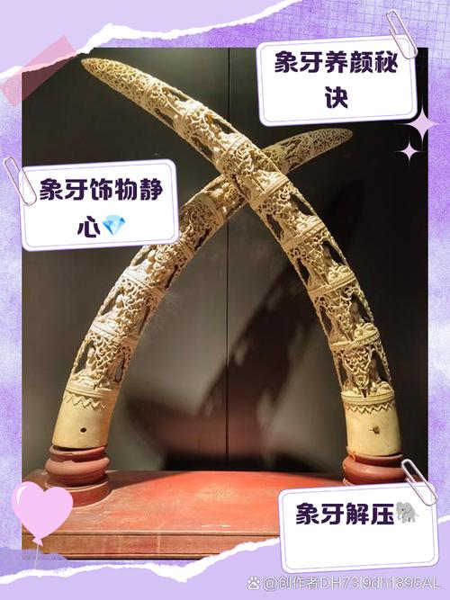 梦见象牙的7种寓意解析,揭示潜藏的运势变化 梦见象牙的7种寓意解析,揭示潜藏的运势变化