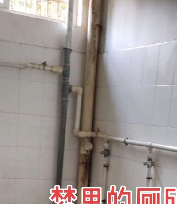 梦见公厕的深层含义解读与心理健康提升技巧 梦见公厕的深层含义解读与心理健康提升技巧