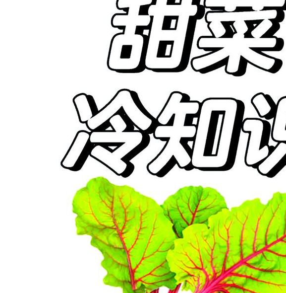 梦见甜菜的深层寓意解析,网友神奇梦境中的生活启示! 梦见甜菜的深层寓意解析,网友神奇梦境中的生活启示!