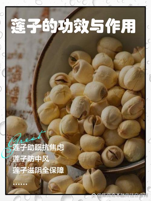 梦见莲子预示哪些?揭示生活启示及高效应对方案 梦见莲子预示哪些?揭示生活启示及高效应对方案