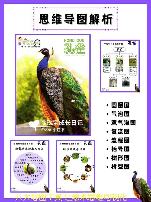 梦见孔雀开屏解析内涵及情感暗示的高效解决方案 梦见孔雀开屏解析内涵及情感暗示的高效解决方案