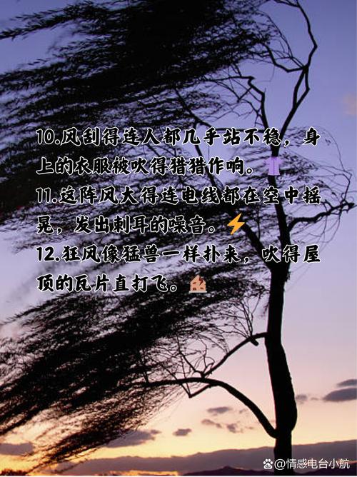 梦见狂风预示，内心动荡寓意深远，用户探索情感共鸣的未知之旅！