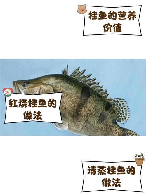 梦见桂鱼暗示的玄机，背后隐藏哪些秘密？