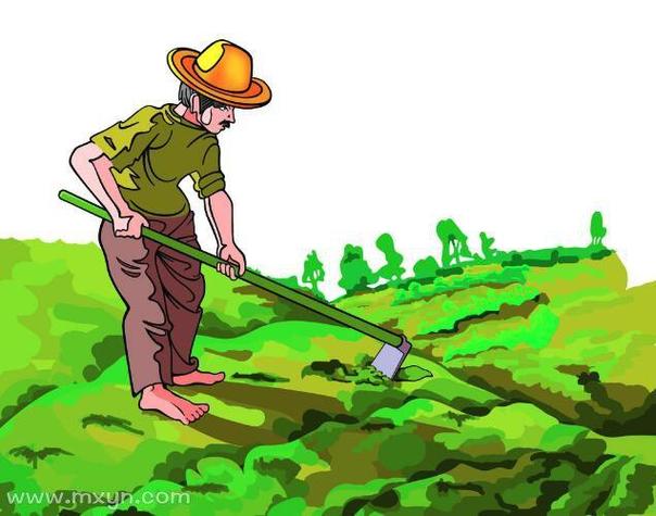 解梦7个梦见种田的含义及象征解析 解梦7个梦见种田的含义及象征解析