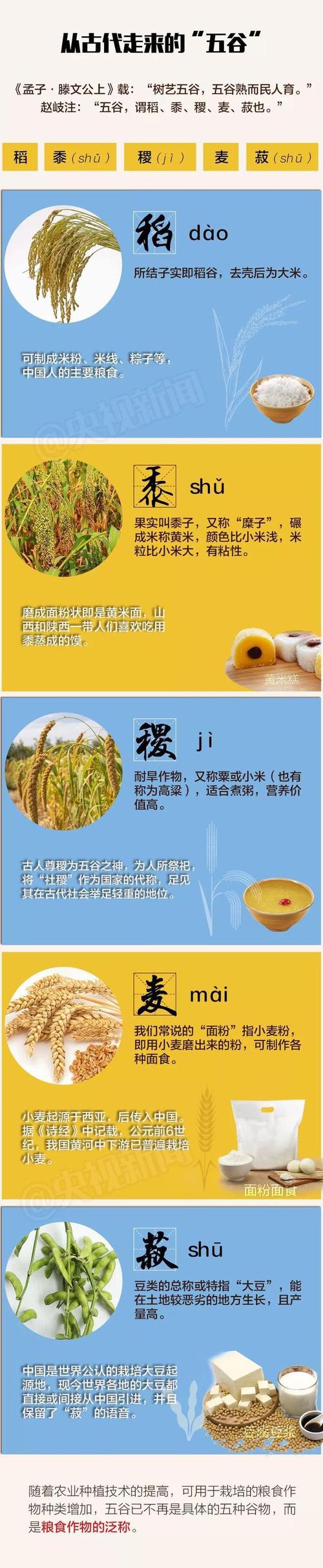 解密梦见五谷的7个象征意义权威解读与心理分析 解密梦见五谷的7个象征意义权威解读与心理分析