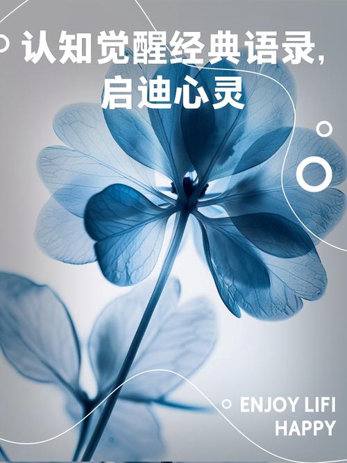 梦见道符解析，启迪心灵！用户揭示潜在积极寓意，提升生活正能量！