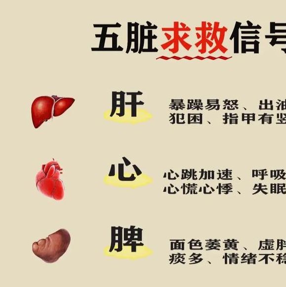 梦见内脏象征意义深远，专家解读令人恍然大悟！