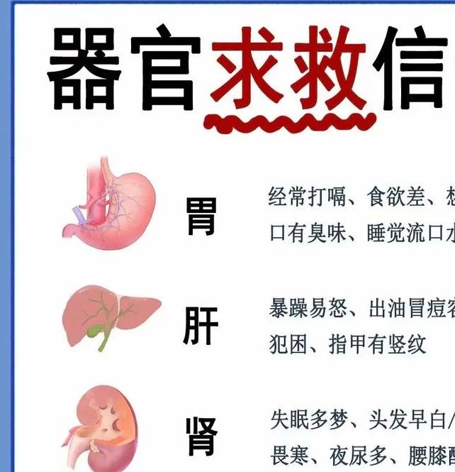 梦见内脏象征意义深远，专家解读令人恍然大悟！