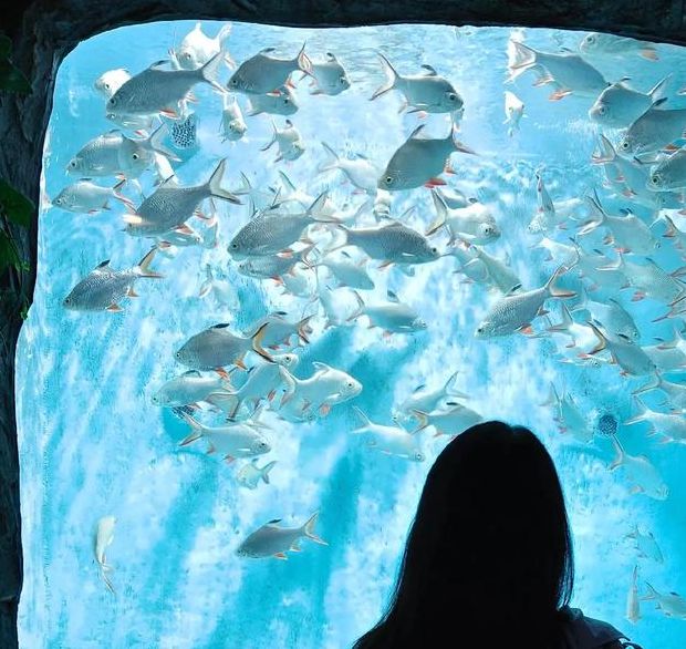 梦见游手好闲预示哪些？揭示背后心理暗示的神秘长尾真相