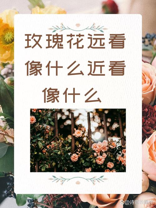 梦见采花寓意解析心理暗示与现实影响的对比分析