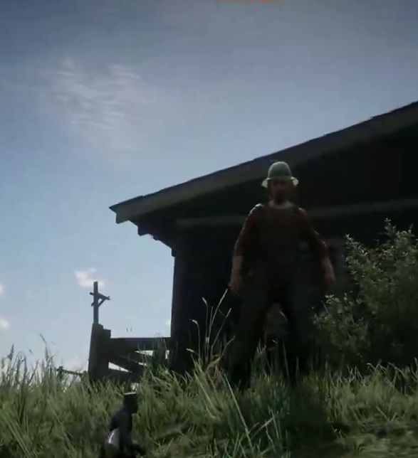 狂野西部的爆笑体验：如何在荒野大镖客2中用超大枪MOD搞笑冒险？