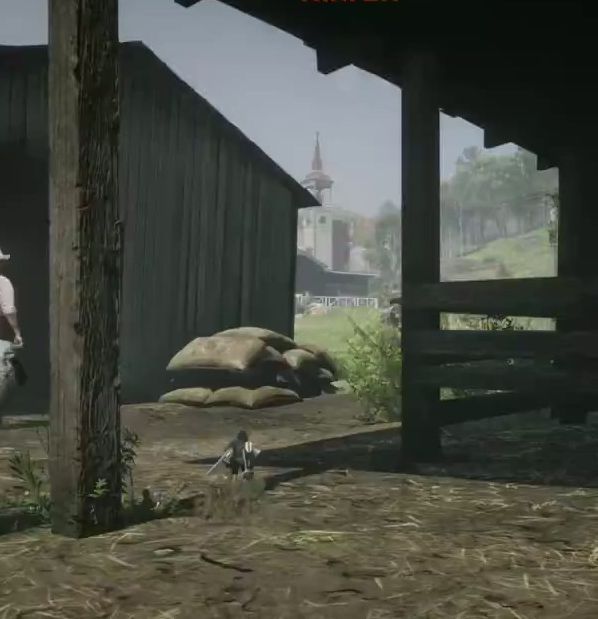 狂野西部的爆笑体验：如何在荒野大镖客2中用超大枪MOD搞笑冒险？