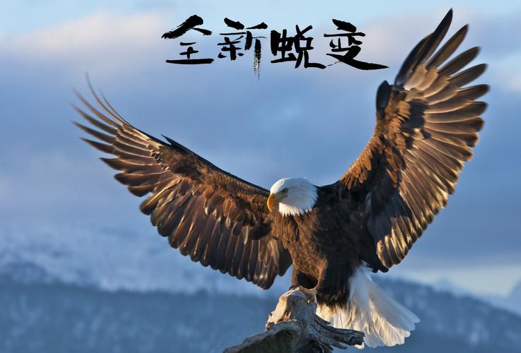 梦见建筑鹰架象征意义解析，提升生活运势的秘诀