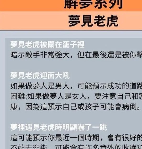 揭秘梦见虎变人5大象征意义深度解析及心理启示