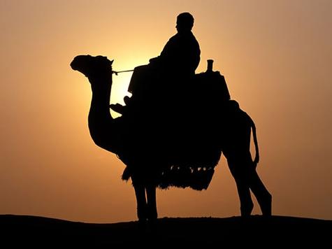 梦见骑骆驼的深层含义是哪些？揭秘背后的心理暗示