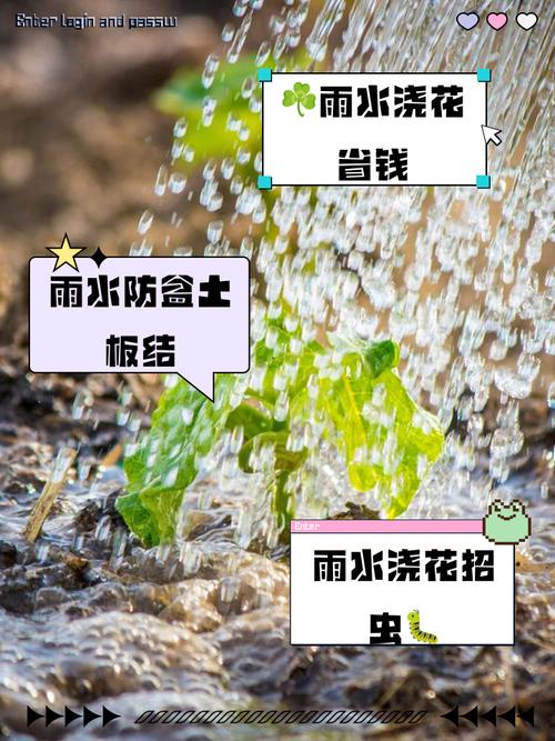 梦见浇水意味着哪些？解读心理暗示与生活变化影响