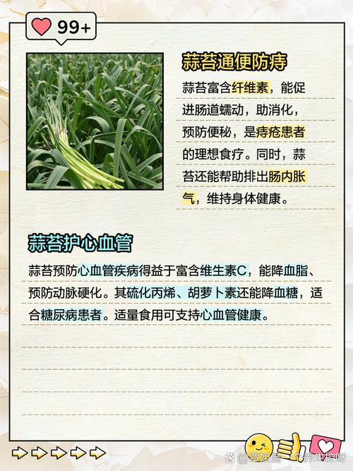 梦见蒜苔有何寓意？高效解析梦境背后的秘密