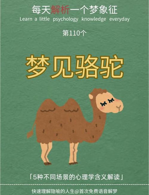 7种梦见单峰骆驼的寓意解析，解锁你的潜意识密码